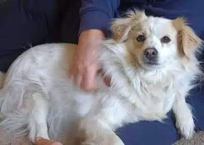 Freya